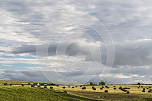 Landscape of Thurso countryside