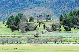 Landscape in Tibet