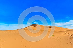 Landscape Tinfou Dunes, Zagora, Sahara, Morocco. Copy space for text