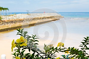 Landscape on Tioman island Malaysia