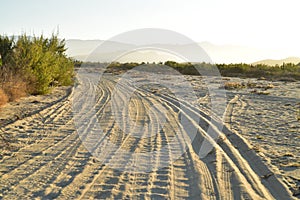 Landscape with tire tracks in beach road tropical morning Baja, Mexico