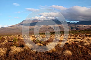 Landscape in the Tongariro National Park