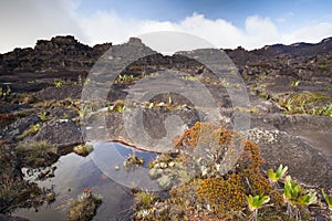 Landscape on the Top of Mount Roraima, Venezuela