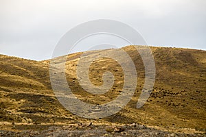 The landscape of the Torres del Paine mountains, Torres del Paine National Park, Chile