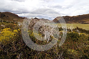 Landscape of Torres del Paine National Park, Chile