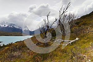 Landscape of Torres del Paine National Park, Chile