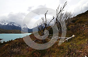 Landscape of Torres del Paine NP with the turquoise of Lago Pehoe, Chile photo