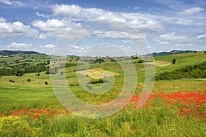 Landscape on the Tortona hills at springtime