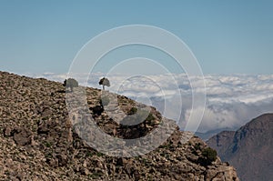 Landscape in Toubkal national park, Atlas mountains