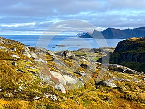 The landscape towards Ryten peak in Lofoten