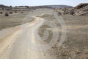 Landscape and Track near Molina de Aragon, Guadalajara