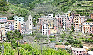 Landscape of the traditional colorful houses of Manarola village Italy