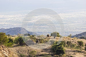 Landscape with traditional hut. Omo Valley. Ethiopia.