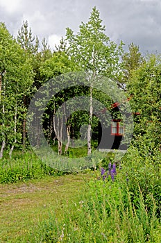 Landscape of Traditional Norwegian house - Norway