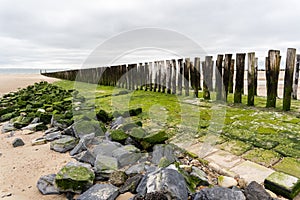 Landscape with traditional wooden pillars at the Dutch coast, province of Zeeland, North Sea on the horizon