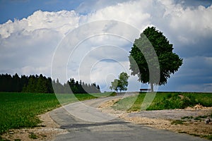 Landscape with tree, bench, road and cloudy sky