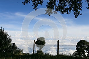 Landscape with tree and clouds