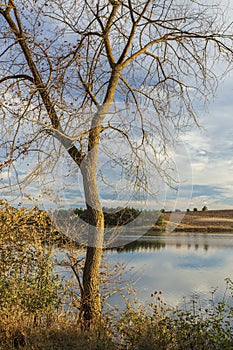 Landscape with a tree from Dibich Dam