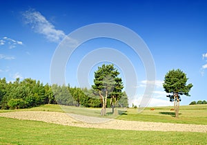 Landscape, tree on green field and the blue sky