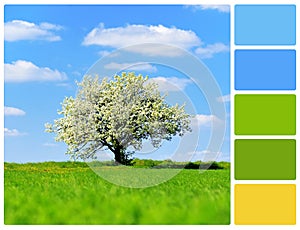 Landscape with tree with palette color swatches