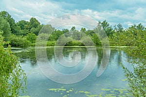 Landscape: trees around the lake, rain falls, reflections on the water