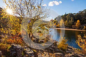 Landscape of trees in autumn against the light. Photography taken near Gardon river in France