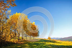Krajina so stromami v jesenných farbách, Slovensko.