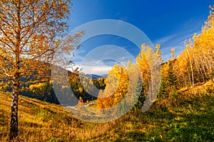 Krajina so stromami v jesenných farbách, Slovensko.