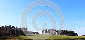 landscape with trees and blue sky