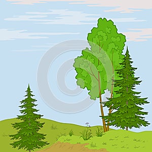 Landscape. Trees on hill photo