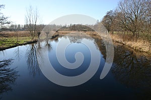 Landscape and trees mirroring in the surface water