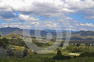 Landscape of trees near Clarens