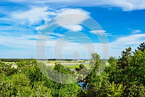 Landscape with trees in Prerow, Germany