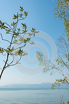 Landscape of trees, sea and mountain.