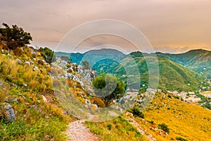 Landscape with trees and stones.