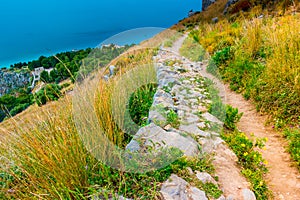 Landscape with trees and stones.