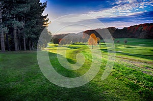 Landscape with trees at sunset