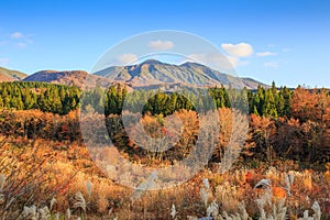 Landscape of trees turning color in autumn with high mountain - Senboku, Akita, Japan