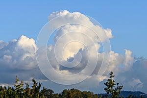 Landscape of treetops and large clouds against a blue sky, as a nature background