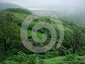 Landscape Trekkers photo