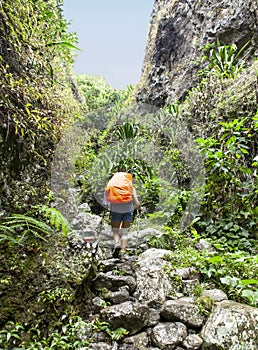 Landscape from a tropical island