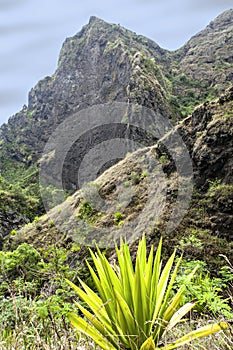 Landscape from a tropical island