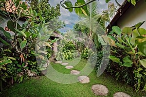 Landscape with tropical plants and path, natural landscaping panorama in garden. Beautiful view of nice landscaped garden in