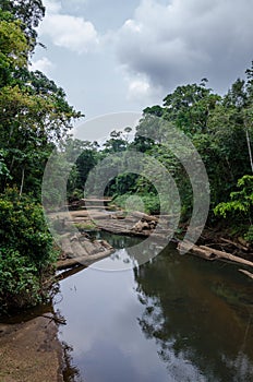 Landscape with tropical river flowing peacefully through lush rain forest of Nigeria, Africa