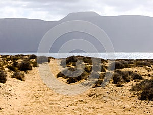 Landscape in Tropical Volcanic Canary Islands Spain