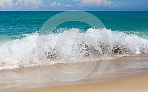 Landscape tropics sandy beach wave