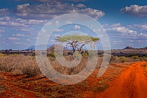 The landscape of the Tsavo East National Park, Kenya