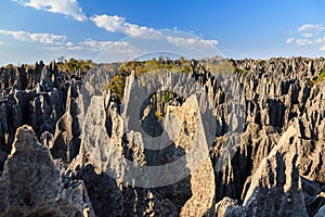 Landscape Tsingy