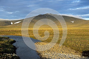 Landscape of tundra photo