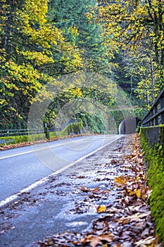 Landscape of tunnel through cliff with autumn trees around and smooth road
